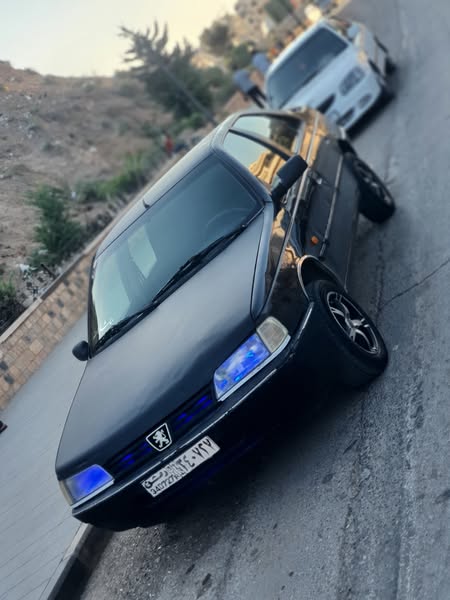 بيجو روا 2008 - صورة 2