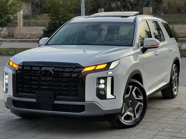 هيونداي Palisade 2025 - صورة 1