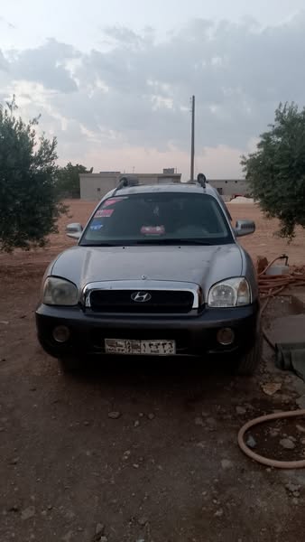 هيونداي سانتفيه 2004 - صورة 1