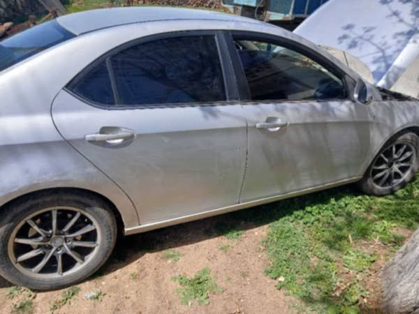 جاك b15 2010 - صورة 1
