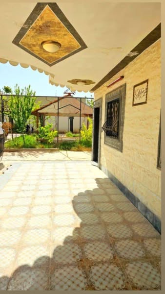 كيا 2009 - صورة 5