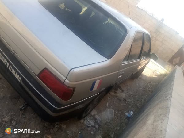 بيجو ٤٠٥ 2004 - صورة 1