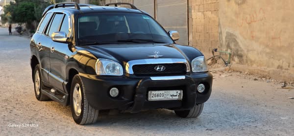 هيونداي سنتافي 2003 - صورة 1