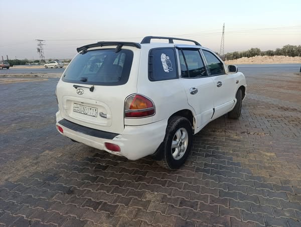 هيونداي سانتا في 2004 - صورة 1