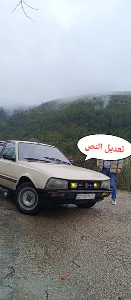 بيجو 505 1980 - صورة 4