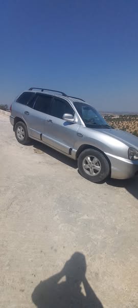 هيونداي سنتافيه 2004 - صورة 2
