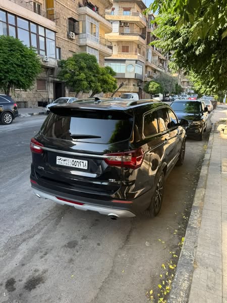 دونغفنغ T5L 2020 - صورة 1