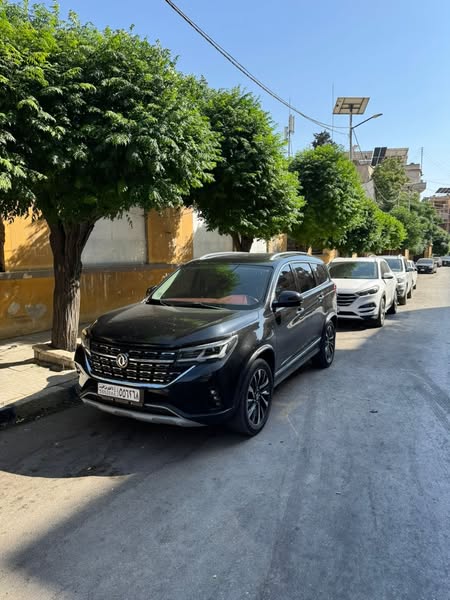 دونغفنغ T5L 2020 - صورة 3