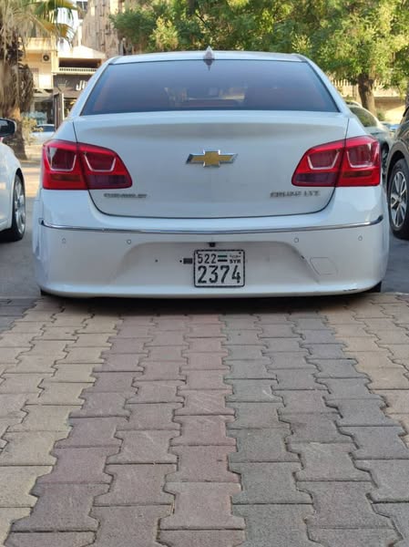 شفر كروز 2015 - صورة 4