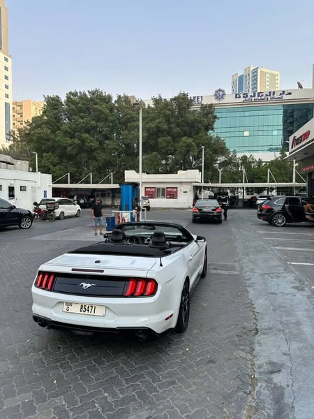 فورد موستانغ 2018 - صورة 3