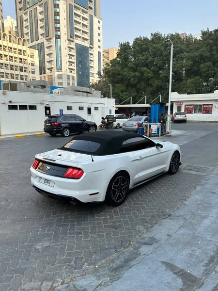 فورد موستانغ 2018 - صورة 1