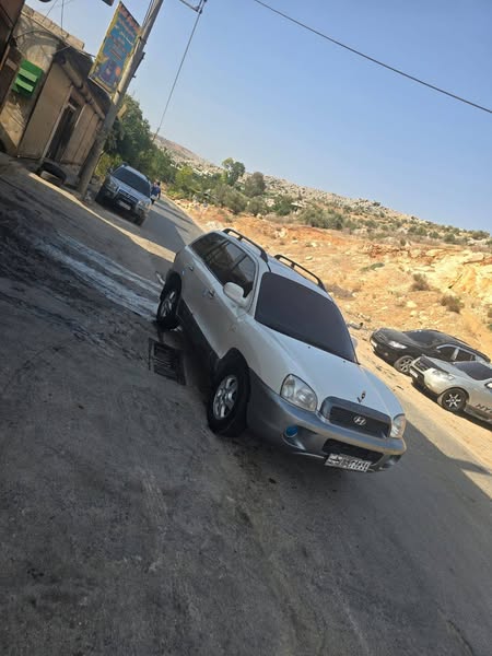 هيونداي سنتافي 2004 - صورة 4