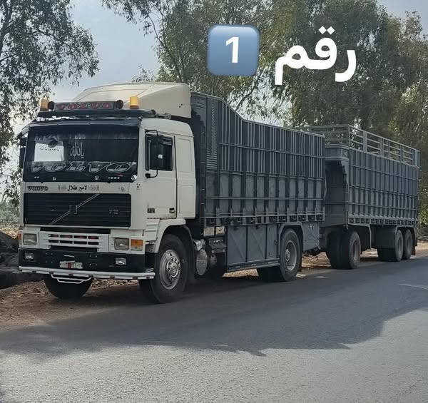 فولفو F12 1994 - صورة 1