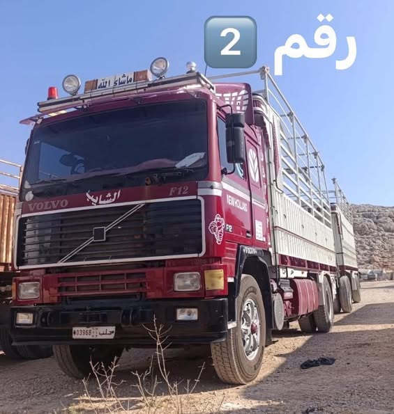 فولفو F12 1994 - صورة 4
