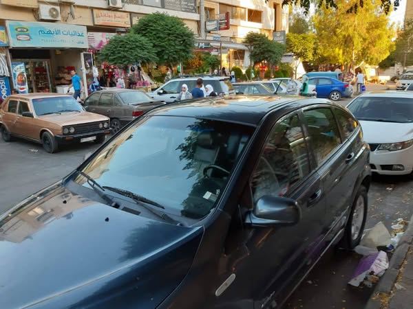 سانج يونج اكتيون 2007 - صورة 2