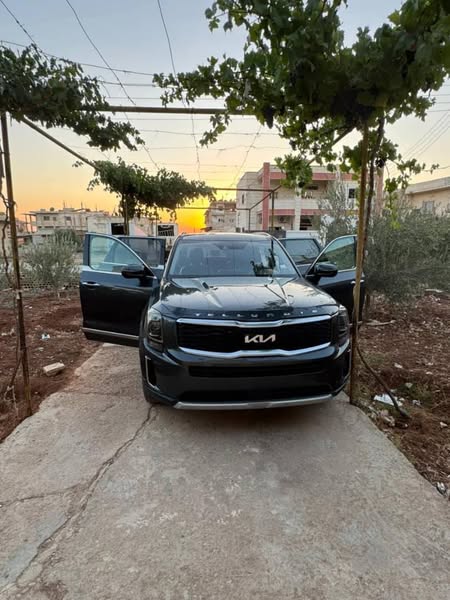 كيا تيلورايد 2020 - صورة 3