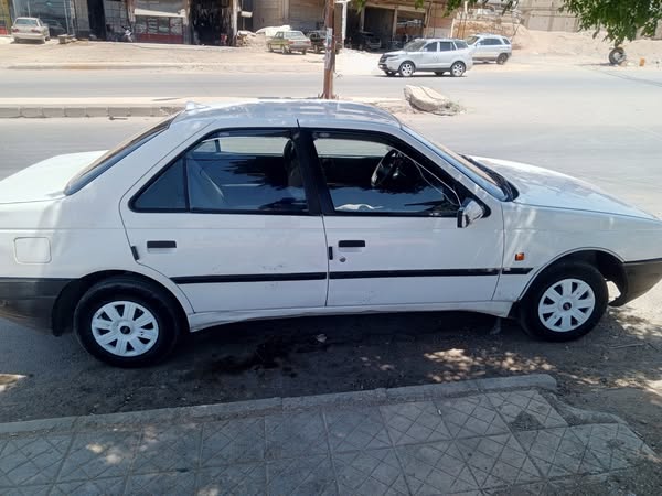 بيجو روى 2008 - صورة 2
