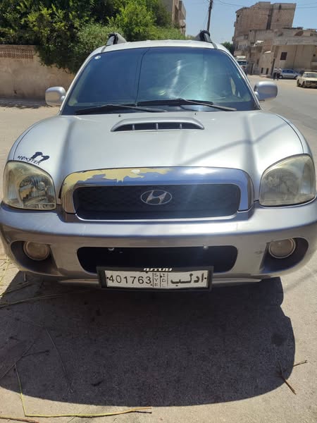 هيونداي سنتافيه 2002 - صورة 4