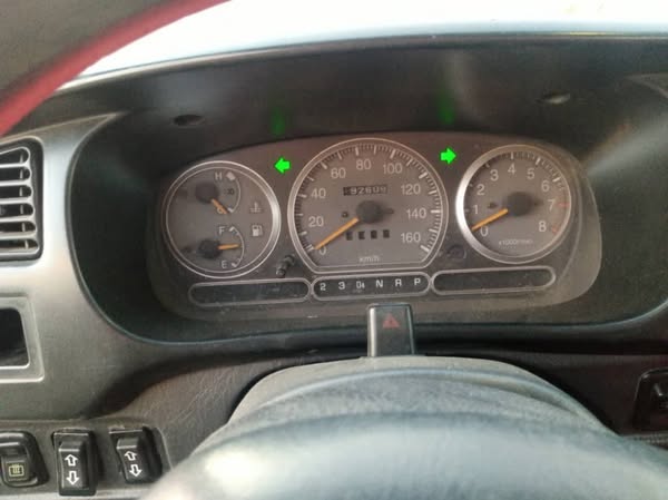 بيرودوا كانسيل 2008 - صورة 4
