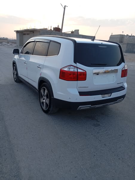 شفر اورلاندو 2014 - صورة 3
