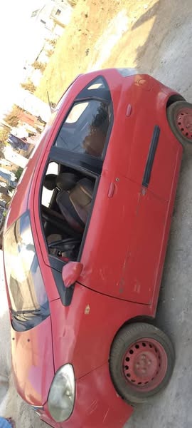 شانا بيني 2009 - صورة 1