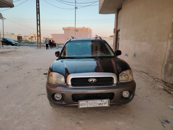 هيونداي سنتفيه 2004 - صورة 5