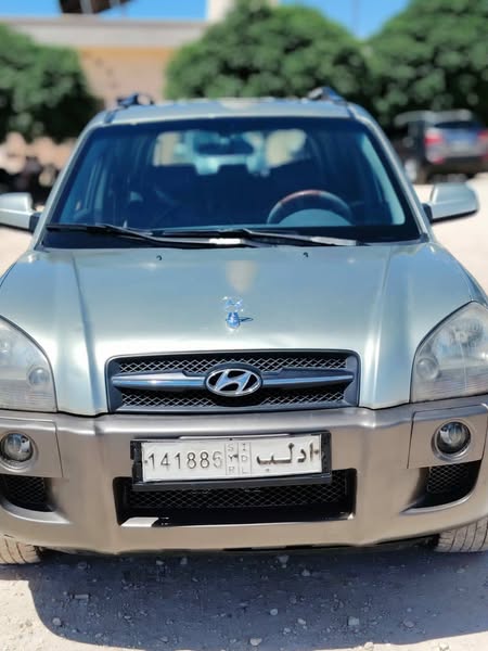 هيونداي توسان 2005 - صورة 1