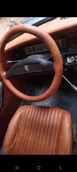 بيجو 304 1977 - صورة 3