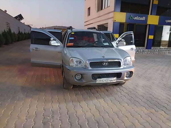 هيونداي سانتا فيه 2004 - صورة 4