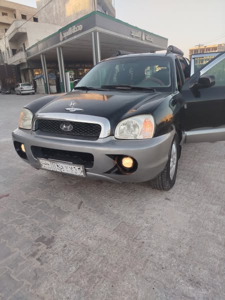 هيونداي سانتا في 2003 - صورة 2