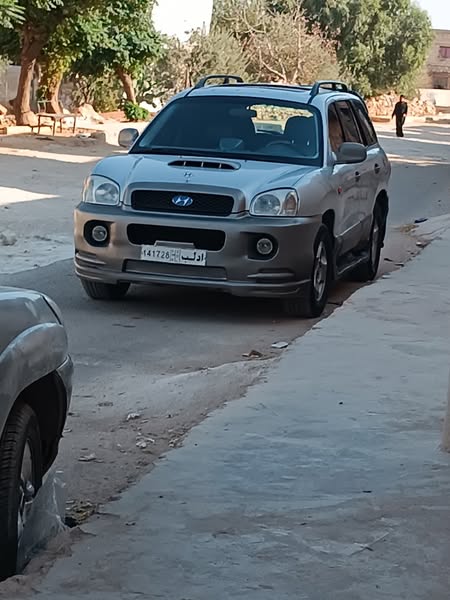 هيونداي سانتا في 2002 - صورة 4