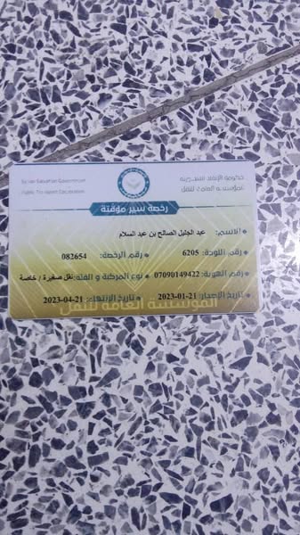شانا قطة 2006 - صورة 1