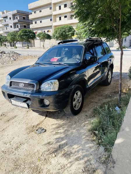 هيونداي سانتا Fe 2004 - صورة 1