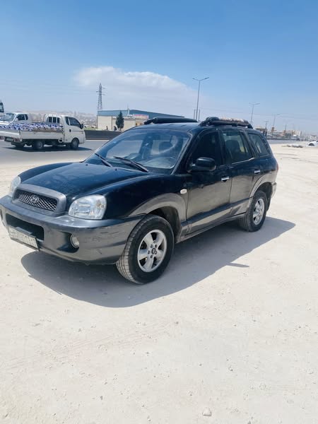 هيونداي سانتا Fe 2004 - صورة 3
