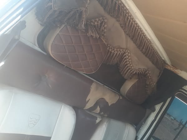 باو سونغ 2010 - صورة 5